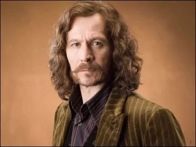 Qui était la cousine de Sirius Black ?
