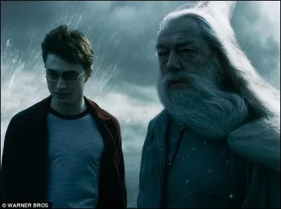 Dans "Harry Potter et le Prince de sang-mêlé", en quel objet le professeur Slughorn s'est-il transformé avant que Harry et Dumbledore n'entrent dans la maison ?