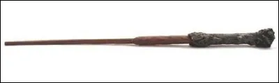 En quoi les baguettes de Harry Potter et Lord Voldemort sont-elles faites ?