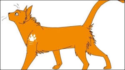 Quel est le nom de chat domestique d'Étoile de Feu ?
