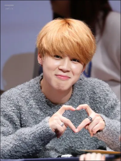 Avec qui Jimin a-t-il fait une reprise du titre "Young, Wild And Free" de Snoop Dogg et de Wiz Khalifa ?