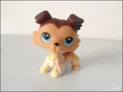 Quelle est sa race ?