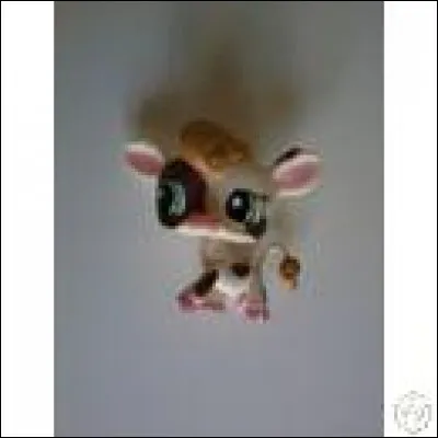 Quelle est sa race ?