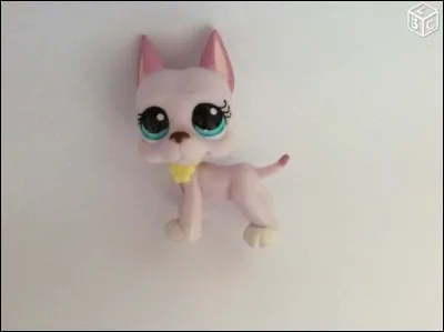 Quelle est sa race ?