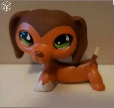 Quelle est sa couleur ?