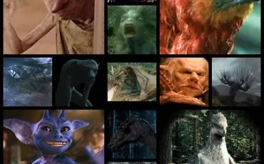 Quiz Harry potter