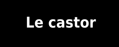 Quelle est la bonne réponse ?