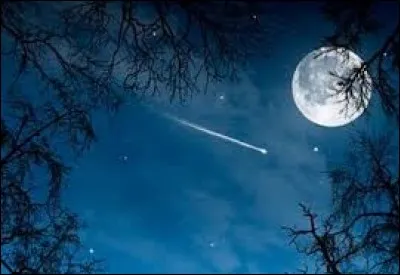 Qui a chanté ces paroles : "Femme, femme, simplement j'te dis / Que j't'aime, j't'aime / T'es comme un soleil qui brille
Dans mes nuits." ?