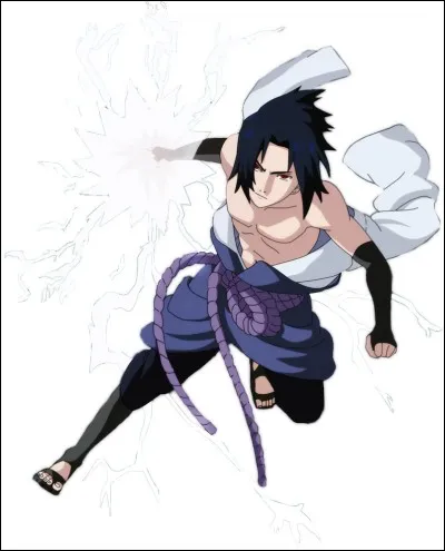 Qui aime Sasuke ?