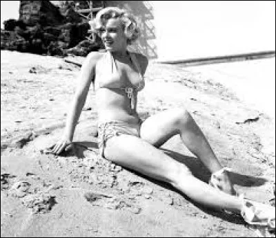 Quelle chanteuse a interpr&eacute;t&eacute; "Itsy bitsy, petit Bikini" ?