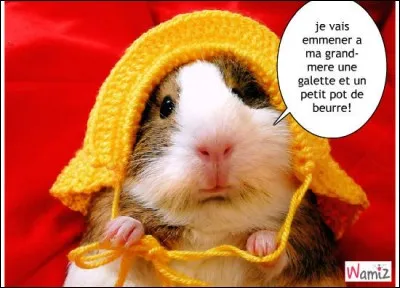 Trouvez le pays où cet animal finit le plus souvent dans les assiettes !