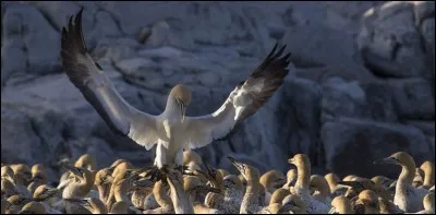 Trouvez la bonne expression !