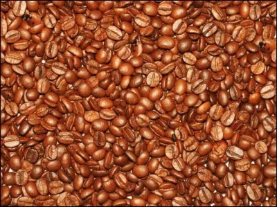 Que voyez-vous sur cette photo ?