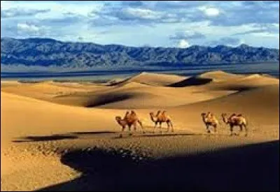 Lequel de ces déserts trouve-t-on en partie en Chine et en partie en Mongolie ?