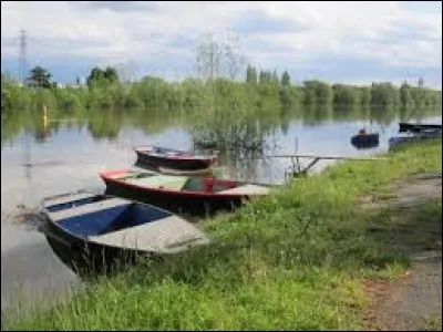 La Maine est un affluent de la ....