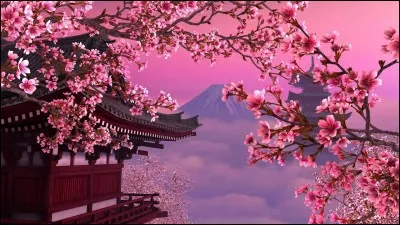 Que signifie le terme "sakura" en français ?