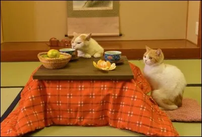 Comment appelle-t-on cette couverture chauffante au Japon ?