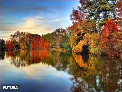 Vent du nord-ouest : no...