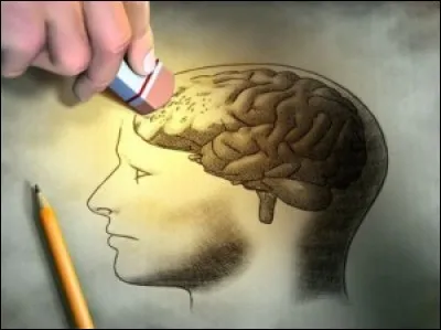 Dans quel ordre apparaissent les deux étapes de l'évolution de la mémoire avant d'entrer dans une phase "d'obsession mémorielle" ?