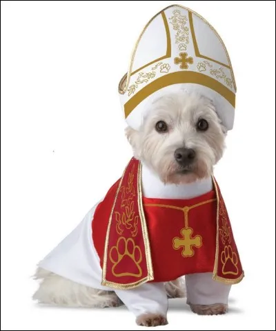 Dans une expression bien connue, "un chien regarde bien un....."