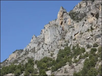 Si je vous dis : « Passage pour des fils », vous répondez :