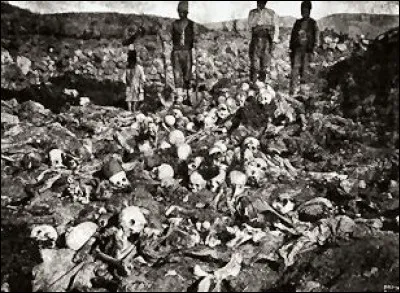 Quel génocide a eu lieu en 1915/1916 ?