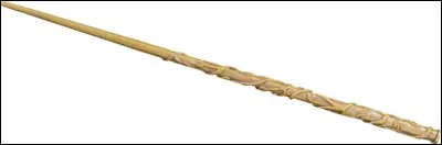 A qui appartient cette baguette ?