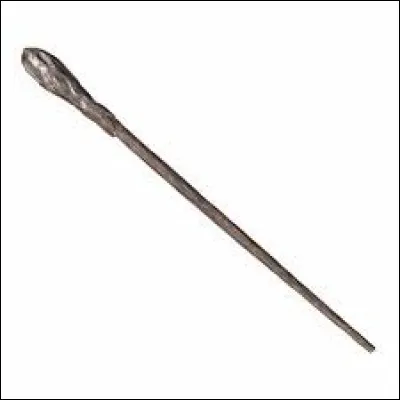 A qui appartient cette baguette ?