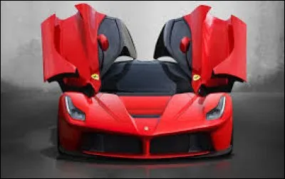 Comment appelle-t-on des portières comme sur cette voiture ?