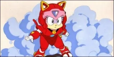 Quel est le nom de ce personnage de "Samouraï Pizza Cats" ?