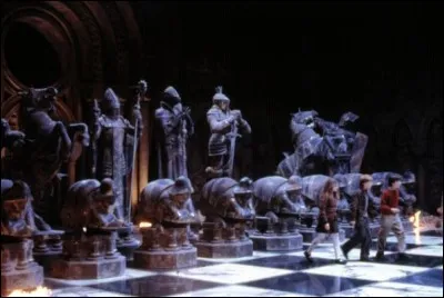 Hermione prend la place de quelle pièce de l'échiquier ?