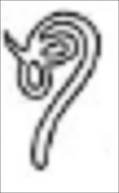 Quelle lettre signifie cet hiéroglyphe ?