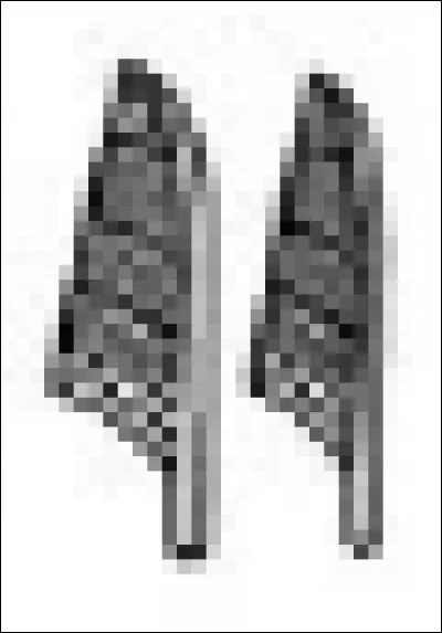 Quelle lettre signifie cet hiéroglyphe ?