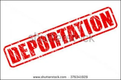 Commémorer la déportation s'impose comme...