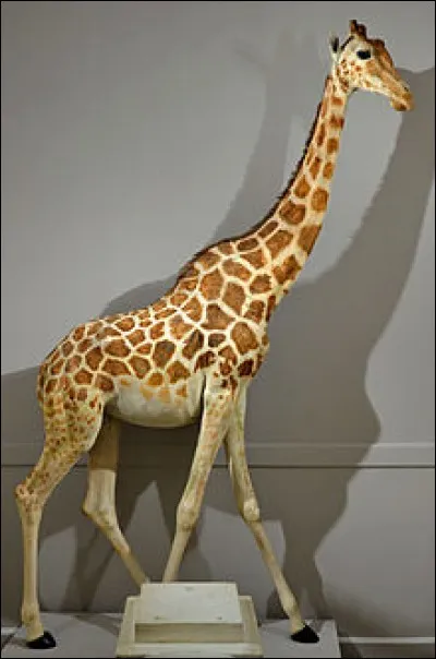 En 1826, à quel roi de France fut offerte la girafe Zarafa par le vice-roi d'Égypte, Méhémet Ali ?