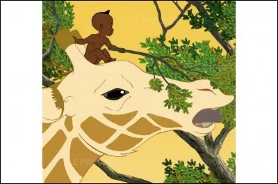 Quel est le titre de ce livre ?