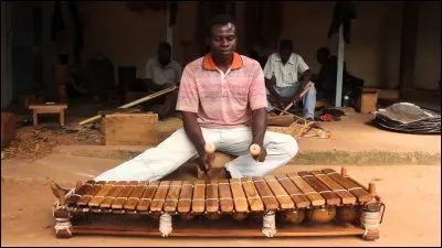 BALAFON - Quels "fruits" entrent dans la constitution de cet instrument venu d'Afrique ?