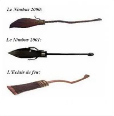 Mais quel balai es-tu le plus susceptible d'avoir ?