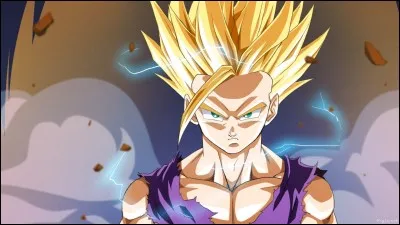 Quelle est la technique qu'a enseignée Kame Senin à Goku ?
