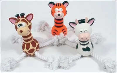 Quel animal n'est pas sur l'image ?