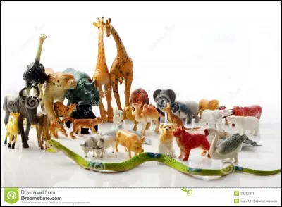 Sur cette image, on voit ...