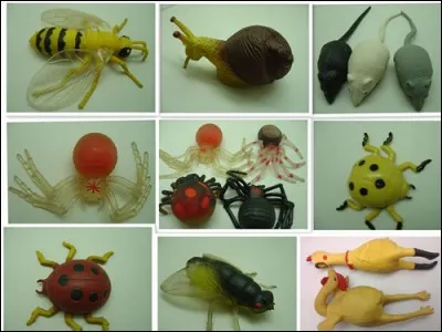 Quel animal n'est pas sur l'image ?