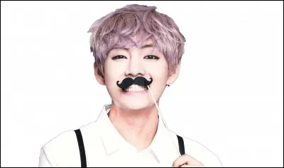 Quelles sont ses couleurs préférées ?