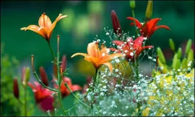 Maintenant, où n'aimerais-tu pas vivre ?