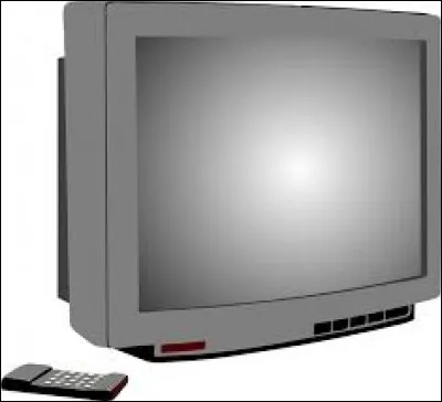 Quel jeu télévisé fera son apparition en 1996 sur France 2 avant d'être arrêté en 2002 ?