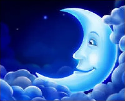 En général, que fait-on la nuit ?