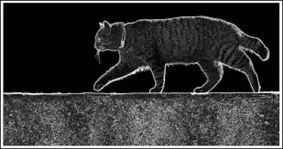 Trouvez l'orthographe correcte de cette phrase.