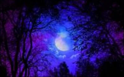 Comment dites-vous "nuit" en anglais les enfants ?