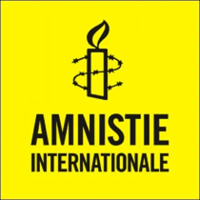 À partir de quelle année furent votées des lois d'amnistie, qui montrent que la France au sortir du conflit avait une réelle envie d'oublier le passé immédiat ?