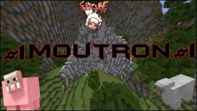 C'est parti pour l'heure du vrai ou faux !
Si un mouton rouge s'accouple avec un mouton blanc cela fera un mouton rose.